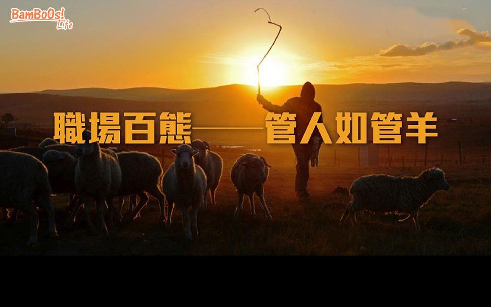 職場百態 ── 管人如管羊