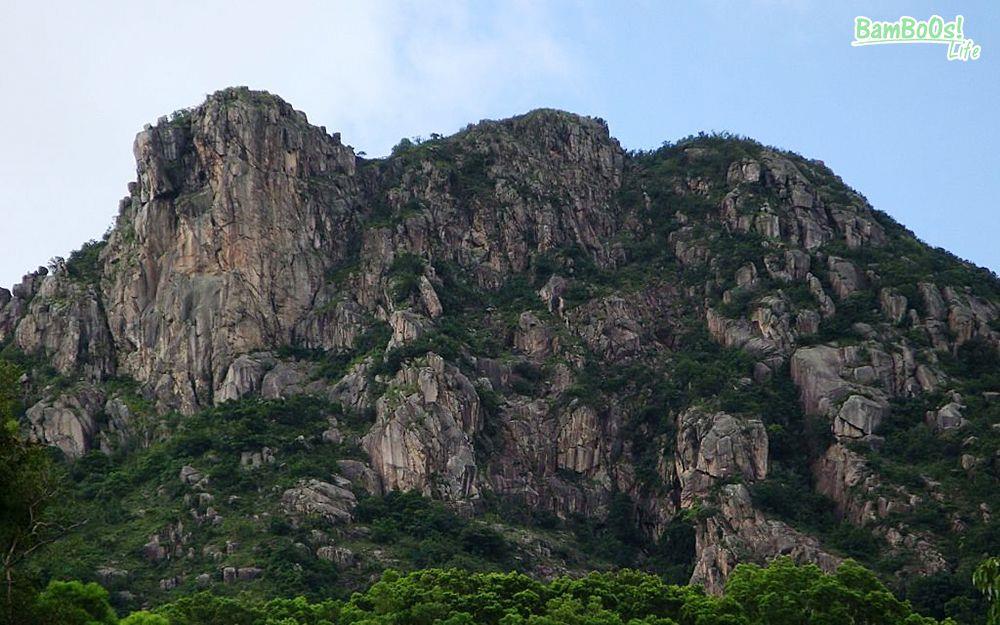 本地創業家的獅子山精神