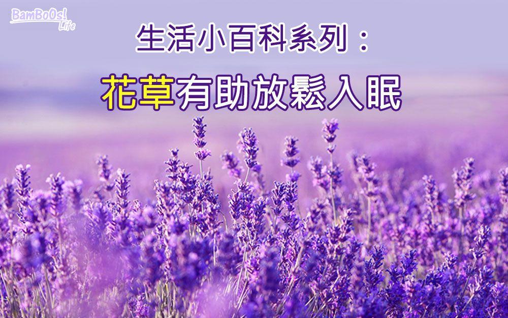 8款花草助放鬆入眠