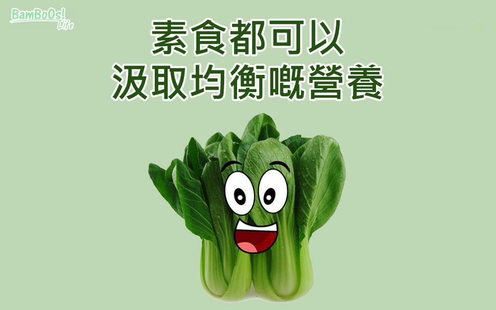 素食從不缺蛋白質